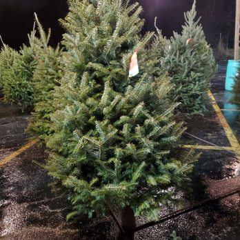 Advance Landscape Center - a row of christmas trees - Landscaping Near Me - Milwaukee, Wisconsin