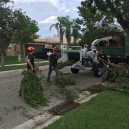 Derek and his crew pruning my two trees. Derek and his crew pruning my two trees.