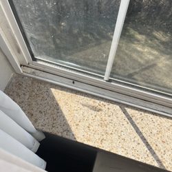 Country Inn & Suites by Radisson, Norman, OK - Ladybug and dirty ish window