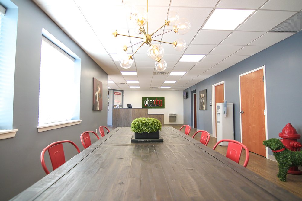 Uberdog - pet boarding facility in West Hartford, CT