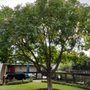 Photo of M&J Tree Care