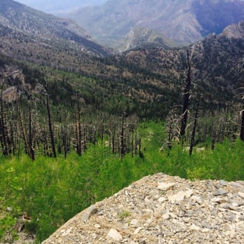 Mummy Mountain - Looking down into the meadow - Hiking Near Me - Mt Charleston, Nevada Mummy Mountain - Looking down into the meadow - Hiking Near Me - Mt Charleston, Nevada
