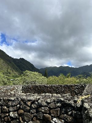 Mānoa Heritage Center by null