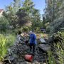 Photo of Pond Guy