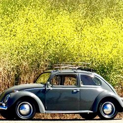 AG Autowerks - Best AirCooled VW mechanics in town!!