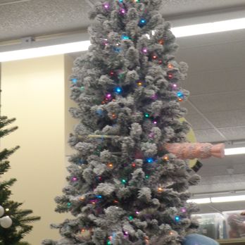 Hobby Lobby - From a distance, I thought that 2 bodies were lodged in the tree. Lol. - Arts & Crafts Near Me - Hayward, California