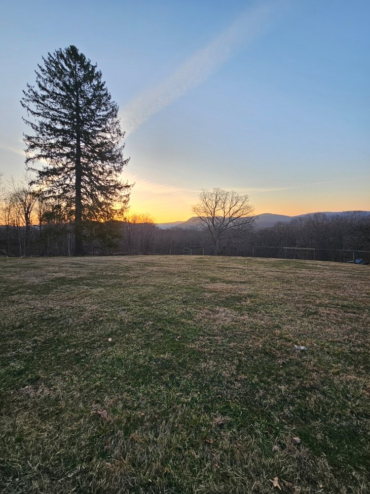 Green Valleys L & E - tree service in White Sulphur Springs, WV