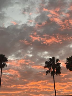 Knott's Berry Farm by null Knott's Berry Farm by null