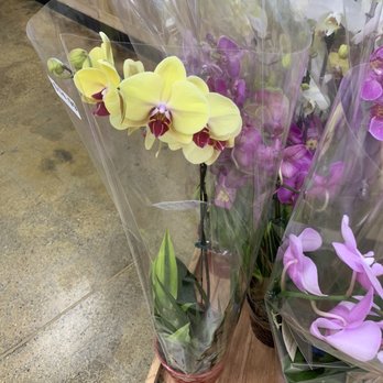 Trader Joe's - Flowers - Grocery Near Me - Monrovia, California