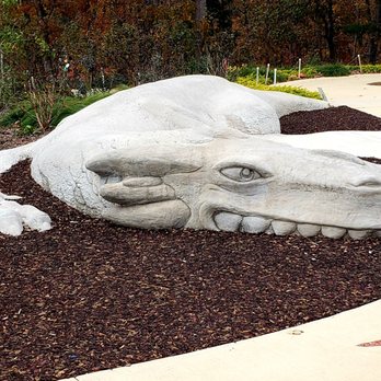 Atlanta Botanical Garden - Botanical Gardens Near Me - Gainesville, Georgia