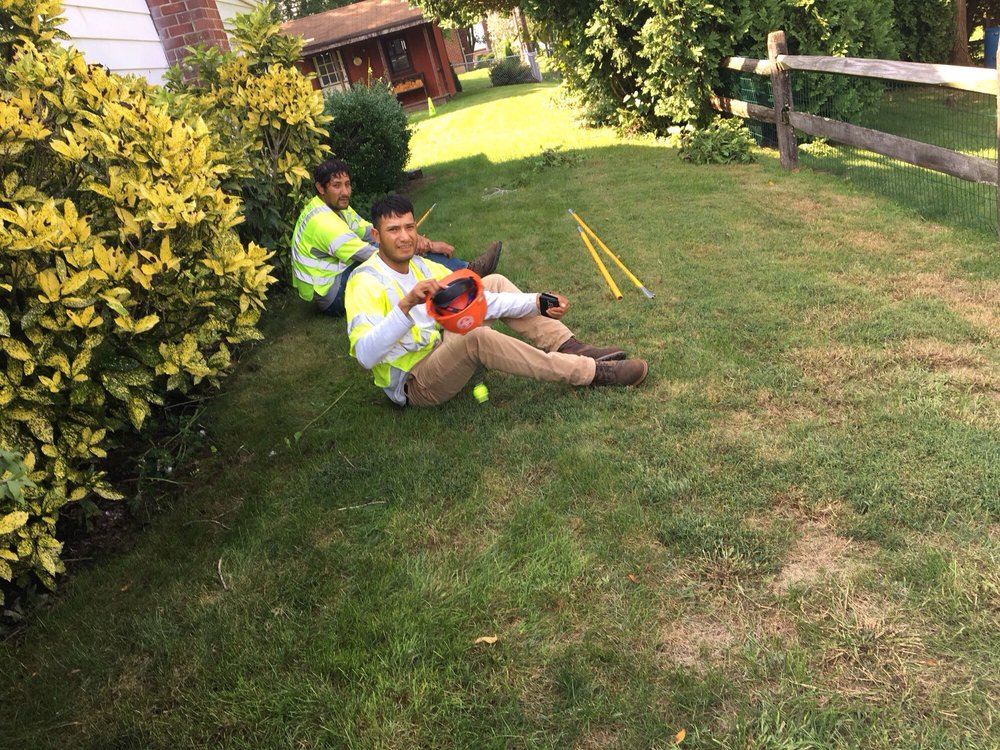 ASPLUNDH TREE EXPERT Updated June 2024 405 Caredean Dr, Horsham