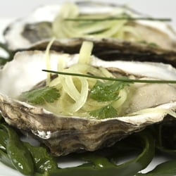 Nolet's Vistro Restaurant - Nolet's Vistro Restaurant