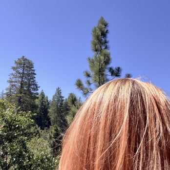 Top Knot - Cut and color by Amanda - strawberry blonde balayage - Hair Salons Near Me - Lake Arrowhead, California Top Knot - Cut and color by Amanda - strawberry blonde balayage - Hair Salons Near Me - Lake Arrowhead, California