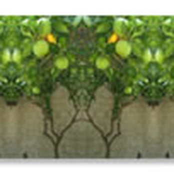 Wellness Works - The Best Kept Secret...No More www.wellnessworksglendale.org - Acupuncture Near Me - Glendale, California Wellness Works - The Best Kept Secret...No More www.wellnessworksglendale.org - Acupuncture Near Me - Glendale, California