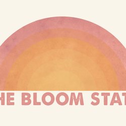 The Bloom State