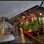 Photo of The Thai Terrace