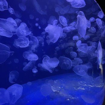 Dive Lounge - Lounges Near Me - Denver, Colorado Dive Lounge - Lounges Near Me - Denver, Colorado