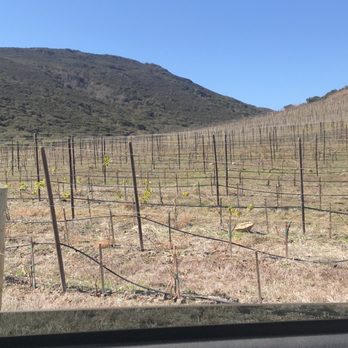 Cabañas Cuatro Cuatros - Winery - Wineries Near Me - Ensenada, BCN