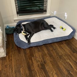 SJR K9 TRAINING SERVICES - Tuckered out after a training session