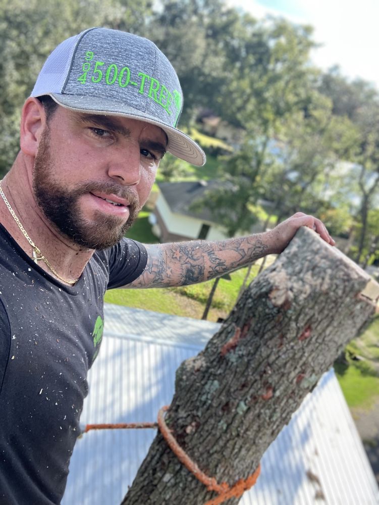 Arbor Tech 904 - tree service in Jacksonville, FL