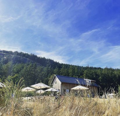 Orcas Island Winery by null