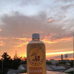 Coastal Craft Kombucha - Ginger: signature house blend of Black & Green Tea with the explosive zing of fresh Ginger for a spicy & refreshingly zesty Kombucha