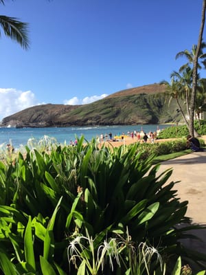 Hanauma Bay Dive Tours