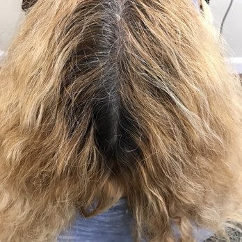 Capriccio Salon - Hair Salons Near Me - Raleigh, North Carolina Capriccio Salon - Hair Salons Near Me - Raleigh, North Carolina