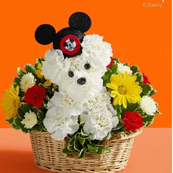 Mansfield Florist and Gifts - Disney Themed Flowers