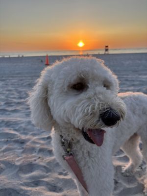 Vilano Beach by null