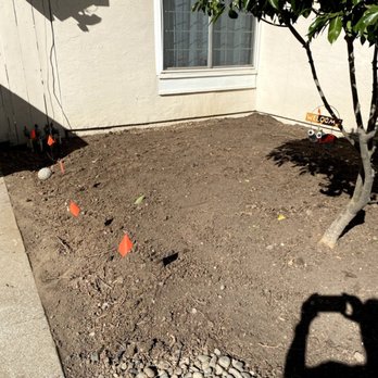 Kelly's Stump Removal - Eyesore be gone! - Tree Services Near Me - Sunnyvale, California