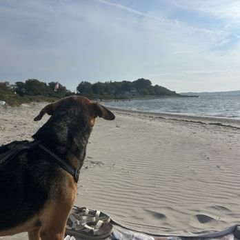 Fogland Beach - Beaches Near Me - Tiverton, Rhode Island