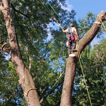 Garrett's Tree Service - Tree Services Near Me - Durham, North Carolina Garrett's Tree Service - Tree Services Near Me - Durham, North Carolina