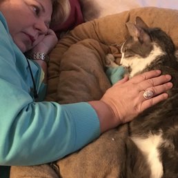 A few hours before Winnie passed away and Quinten from Pet Haven came for him.