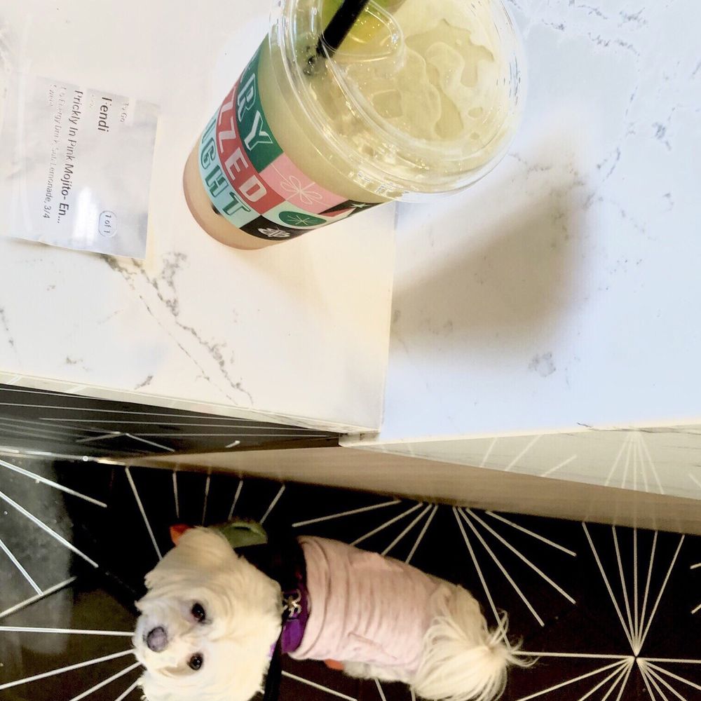 TOP 10 BEST Study near Solana Beach, CA - Updated 2026 - Yelp