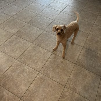 Groutzilla - Grout Services Near Me