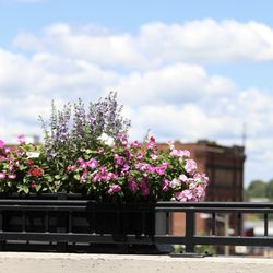 Hudson And Essex - Outdoor patio