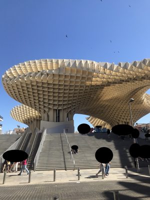 Setas de Sevilla by null
