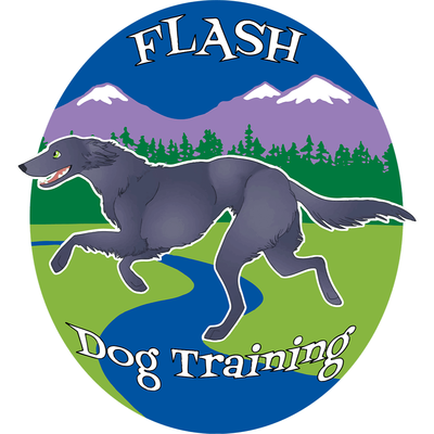 Flash Dog Training by null