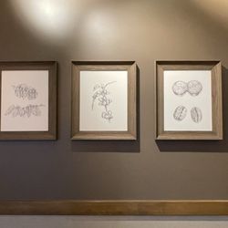 Starbucks - Classic wall decor @ Starbucks in Chico, CA.
