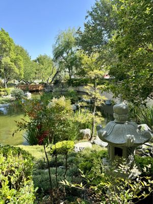 Japanese Garden by null