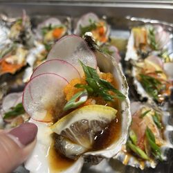 Pacific oysters