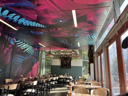 Peacock Pansy by null