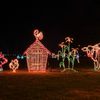 Ritzy’s Fantasy Of Lights gift card