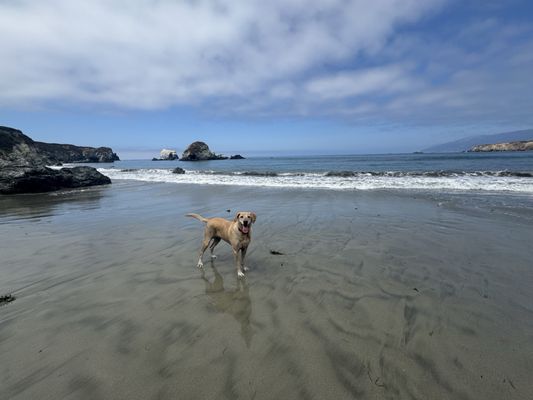 Sand Dollar Beach by null