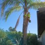 MH Landscaping