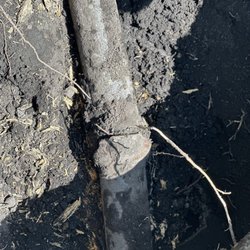 Next Lvl Sewer Specialist