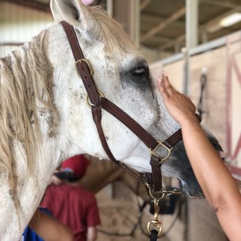 Fort Sam Houston Equestrian Center - Horseback Riding Near Me - San Antonio, Texas Fort Sam Houston Equestrian Center - Horseback Riding Near Me - San Antonio, Texas