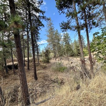 Trolley Trail Head - 9/14/24 - Hiking Near Me - Spokane, Washington Trolley Trail Head - 9/14/24 - Hiking Near Me - Spokane, Washington