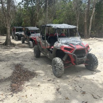 Wild Tours - Tours Near Me - Cozumel, ROO